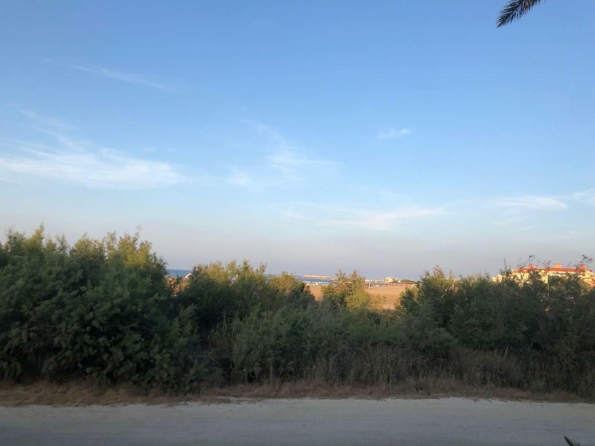 Apartamento En Denia A Pie De Playa Dış mekan fotoğraf
